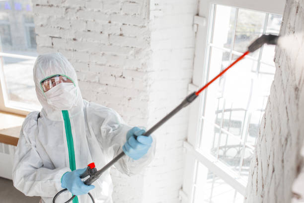 Biohazard Mold Removal in Brooks, KY