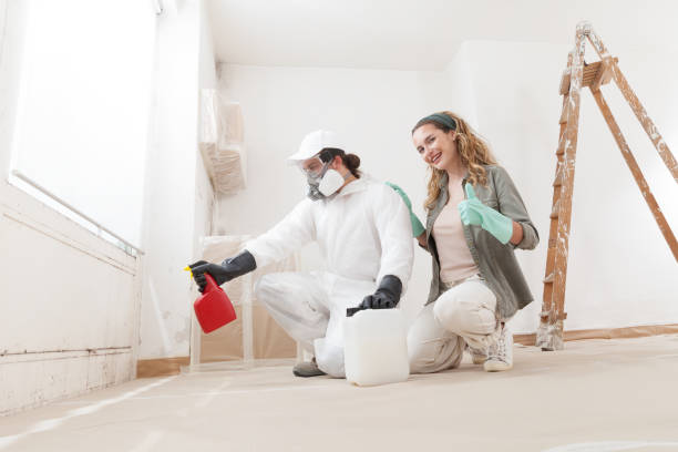 Best Residential Mold Inspection & Testing  in Brooks, KY